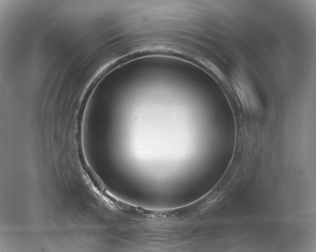 X0000078280799200611101132