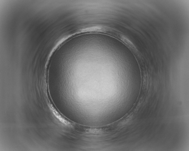 X0000078280800200611101132