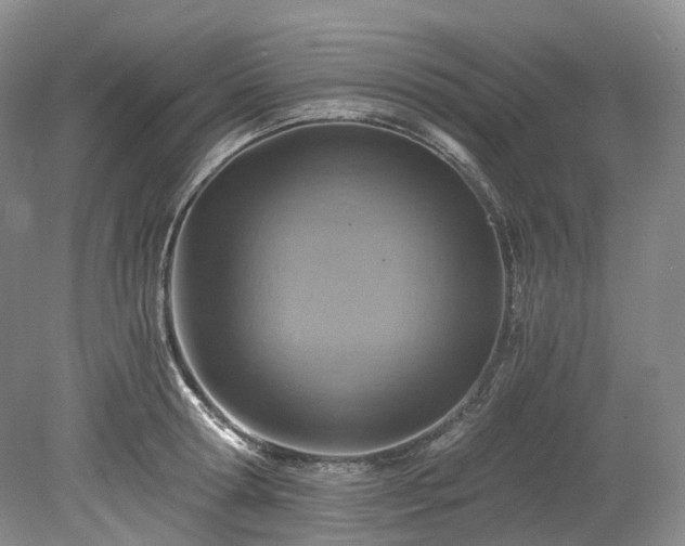 X0000078280802200611101132