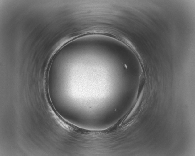 X0000078280803200611101132