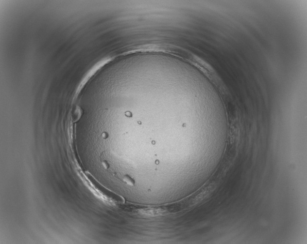 X0000078280804200611101132