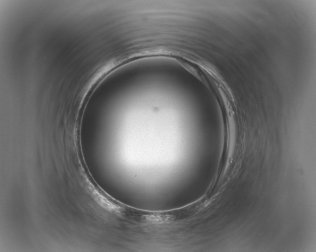 X0000078280805200611101132