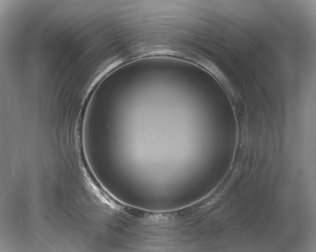 X0000078280806200611101132