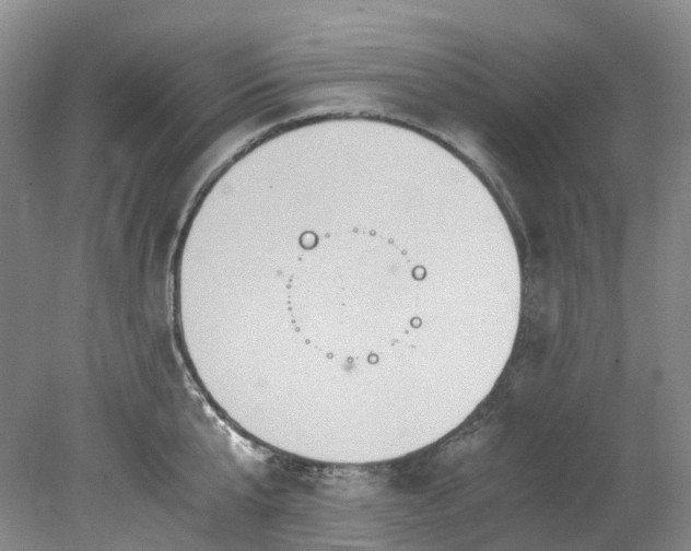 X0000078280807200611101132