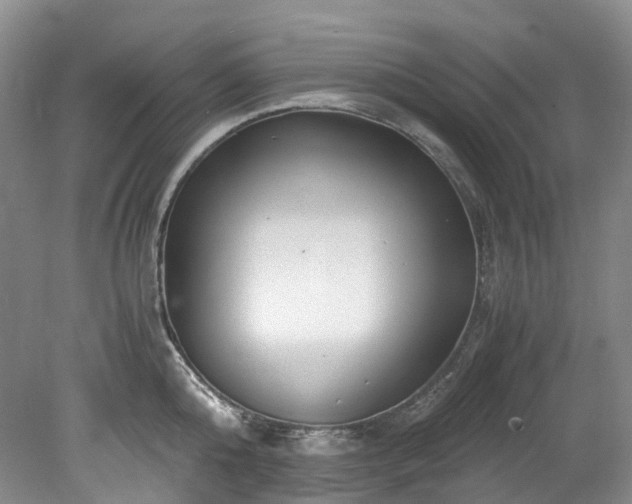 X0000078280808200611101132