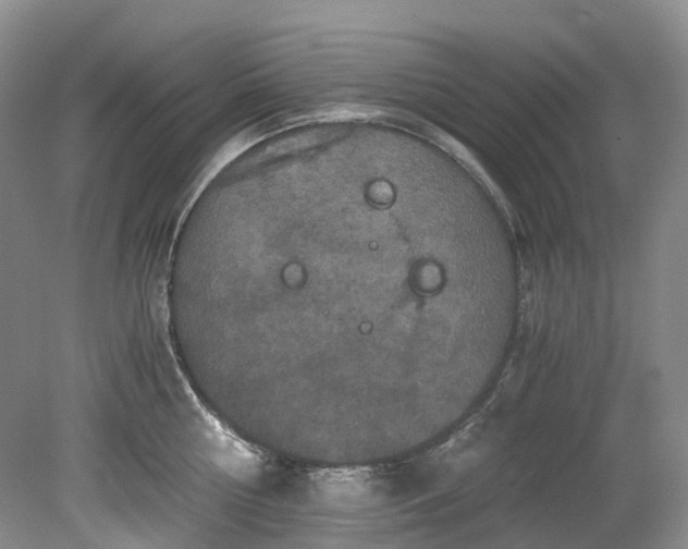 X0000078280810200611101132