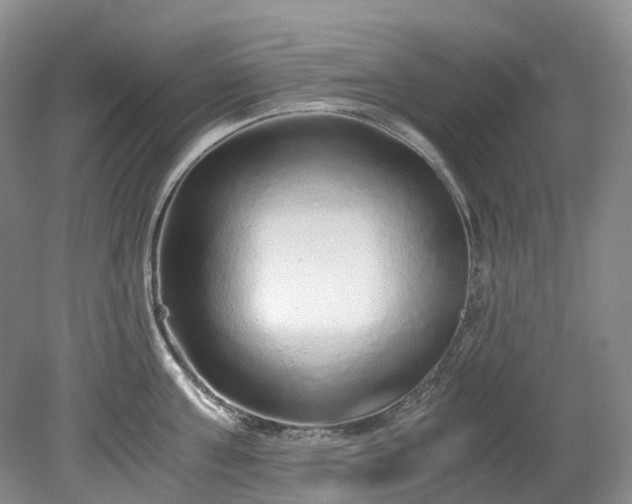 X0000078280811200611101132