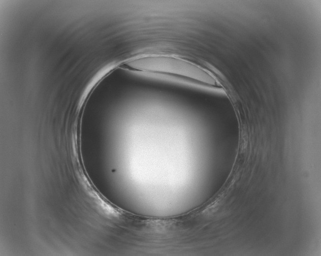 X0000078280812200611101132