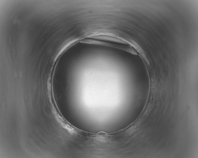 X0000078280814200611101132