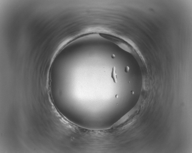 X0000078280815200611101132