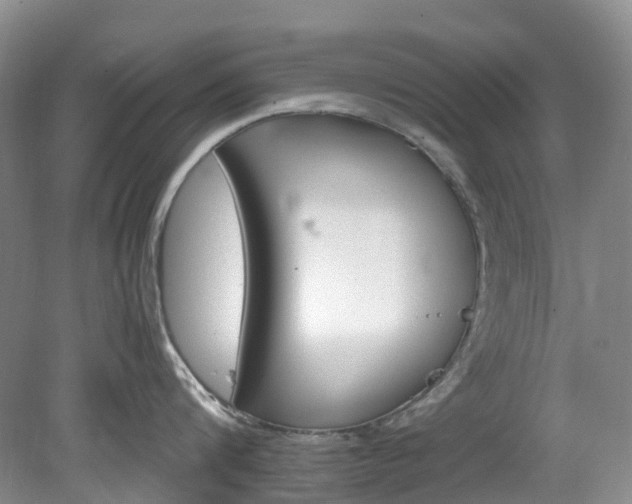 X0000078280816200611101132