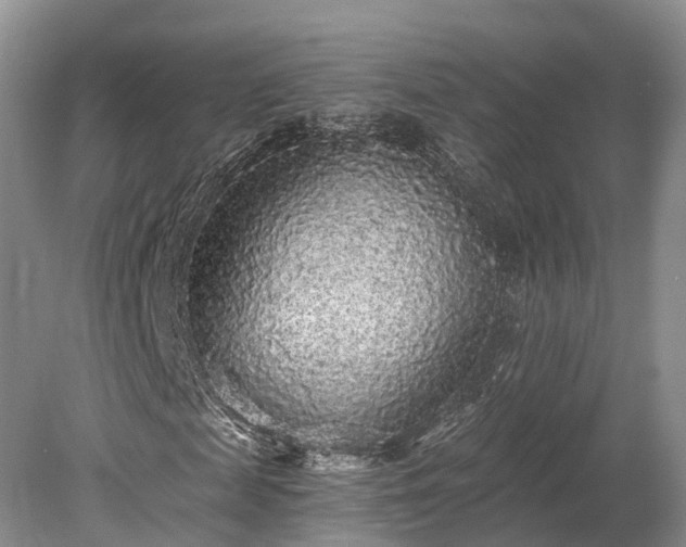 X0000078280817200611101131