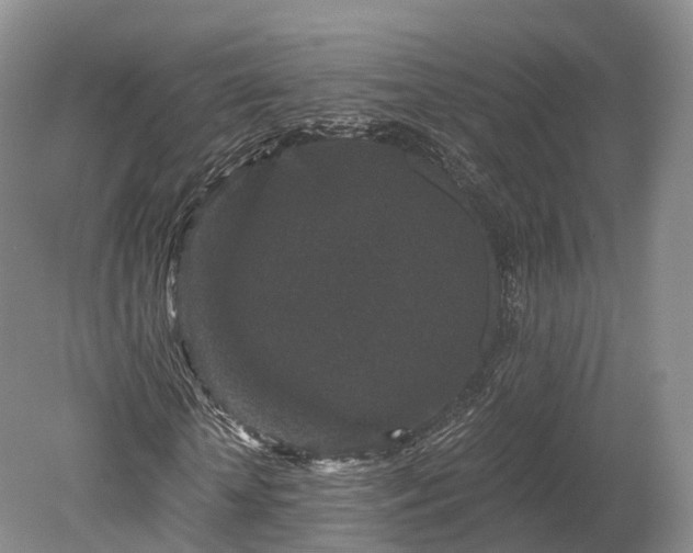 X0000078280818200611101131