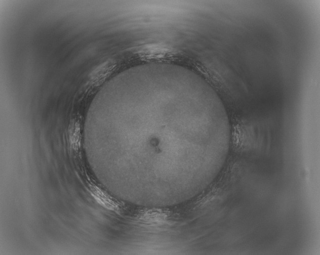 X0000078280820200611101131