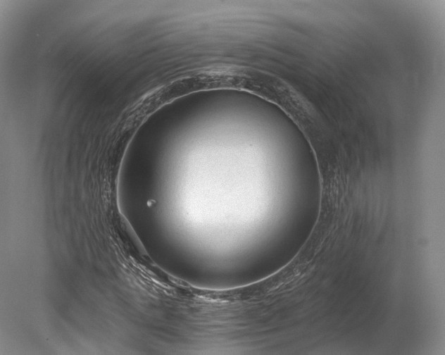 X0000078280821200611101131