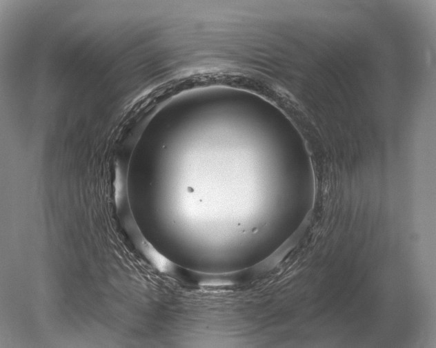 X0000078280822200611101131