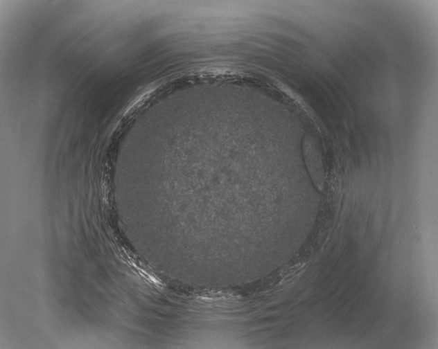 X0000078280823200611101131