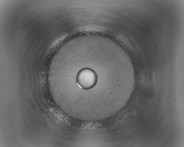 X0000078280824200611101131