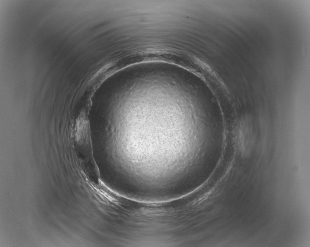 X0000078280825200611101131