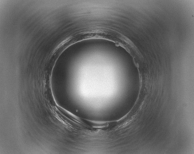 X0000078280826200611101131