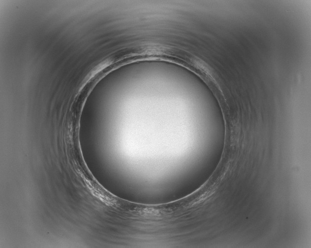 X0000078280827200611101131