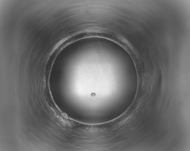 X0000078280829200611101131