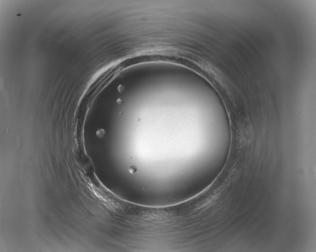 X0000078280830200611101131