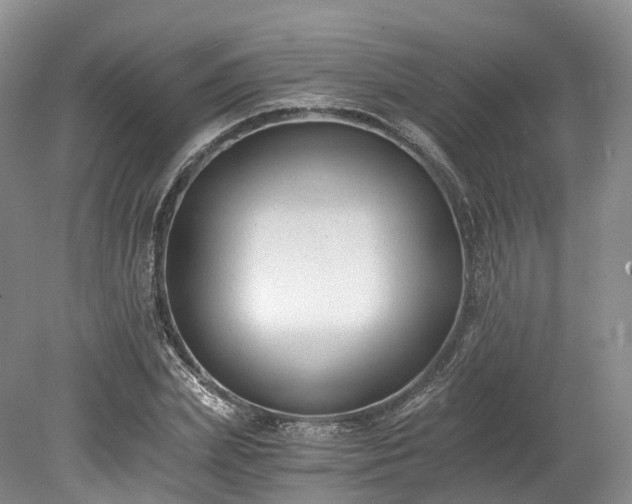 X0000078280831200611101131