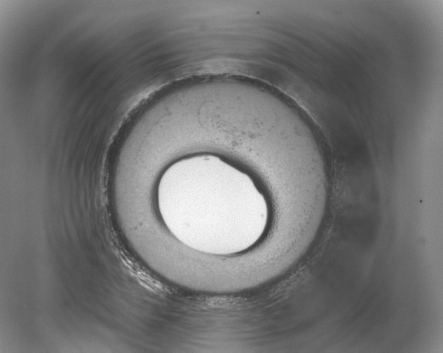 X0000078280832200611101131