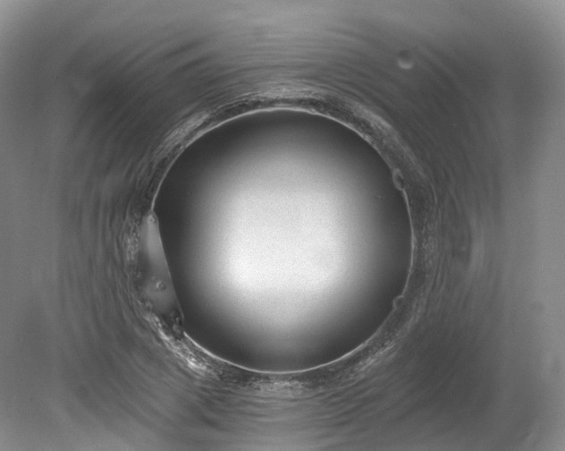 X0000078280833200611101131