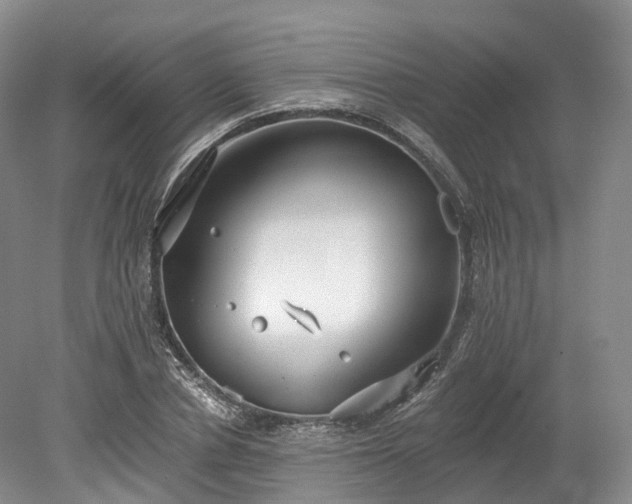 X0000078280834200611101131