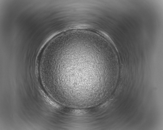 X0000078280835200611101131