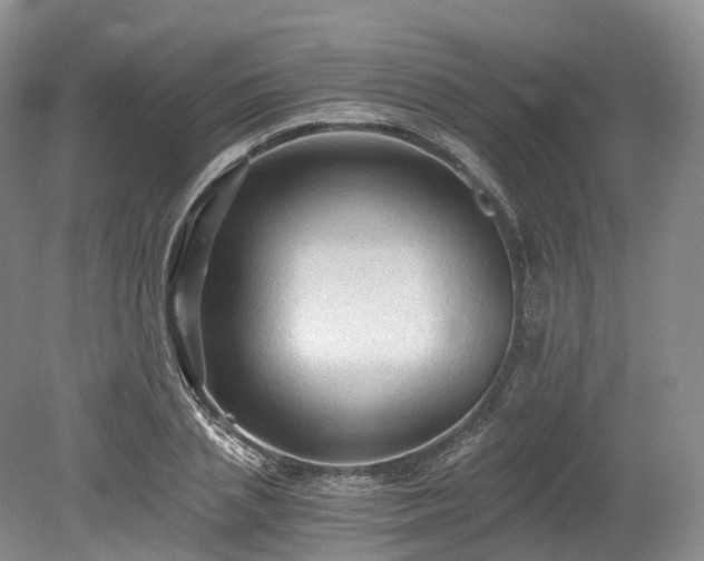 X0000078280837200611101131