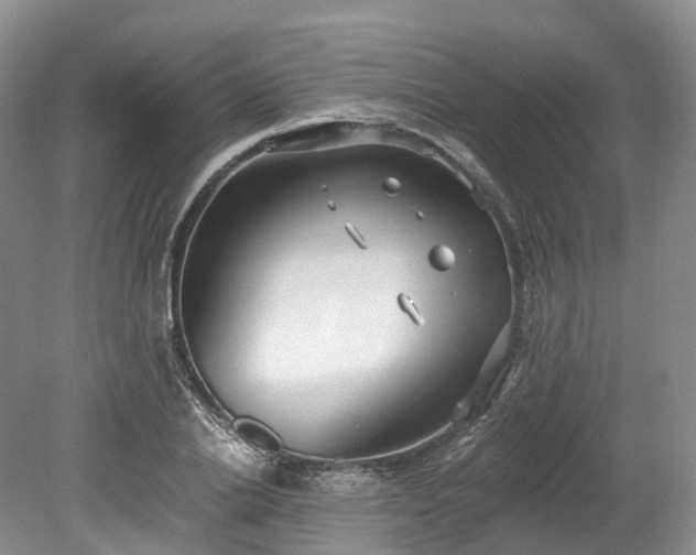 X0000078280838200611101131