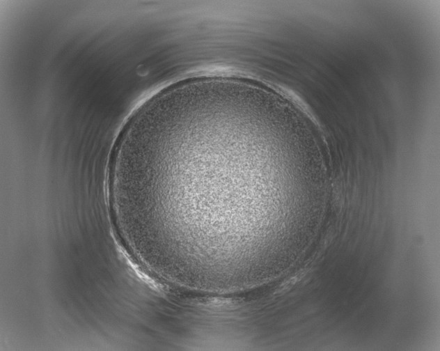 X0000078280839200611101131