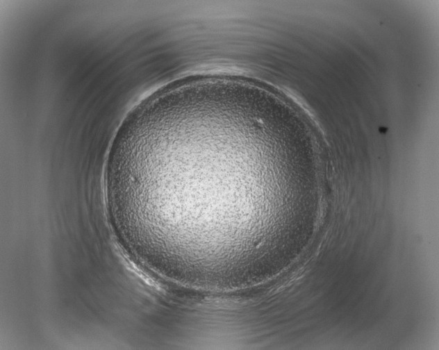 X0000078280840200611101131