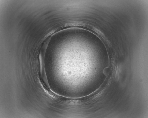 X0000078280841200611101131