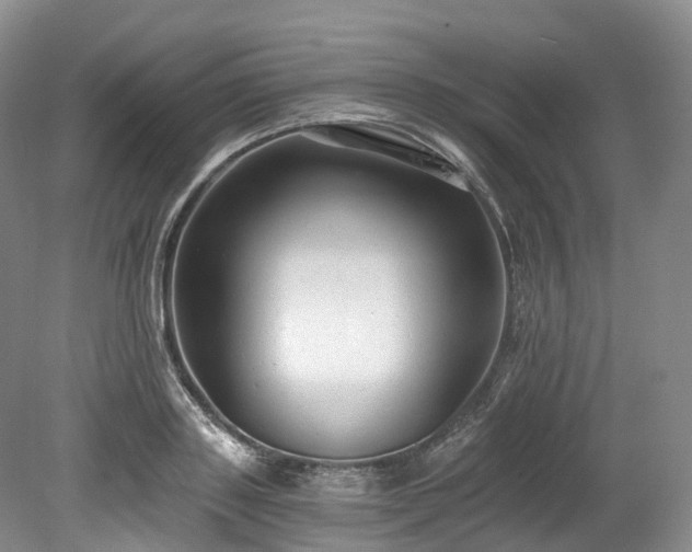 X0000078280843200611101131