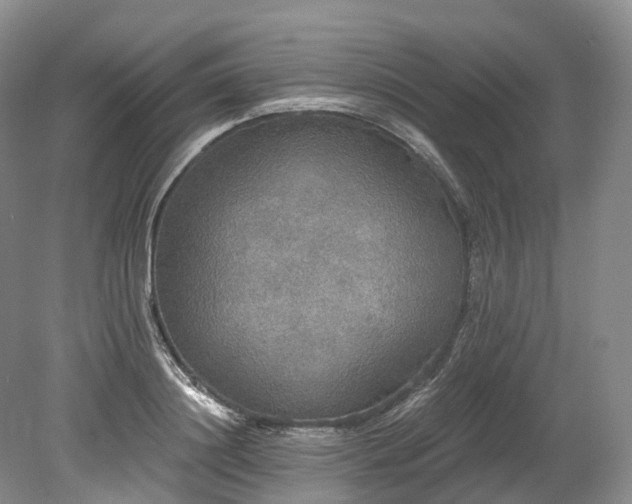 X0000078280844200611101131