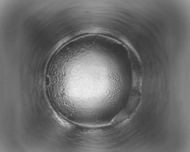 X0000078280845200611101131