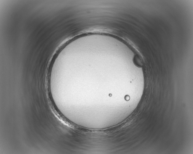 X0000078280848200611101131