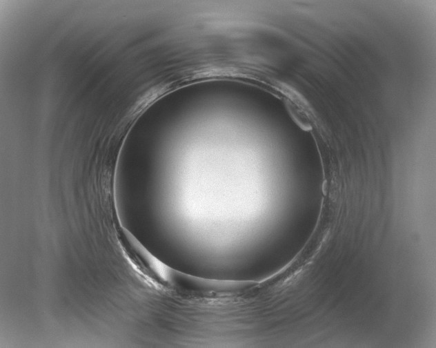 X0000078280849200611101131