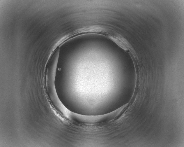 X0000078280850200611101131