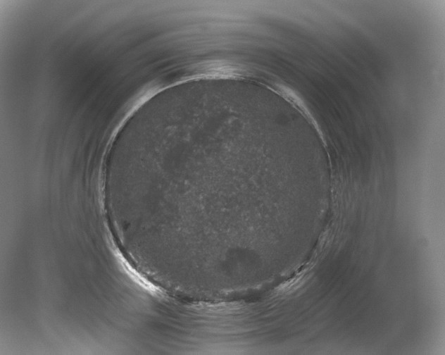 X0000078280851200611101131