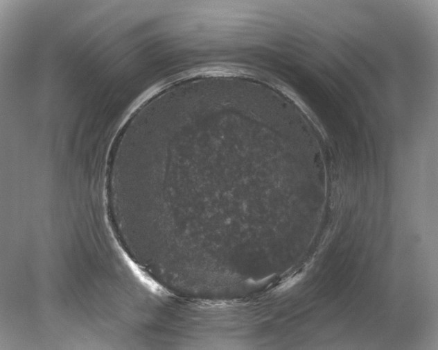 X0000078280853200611101132