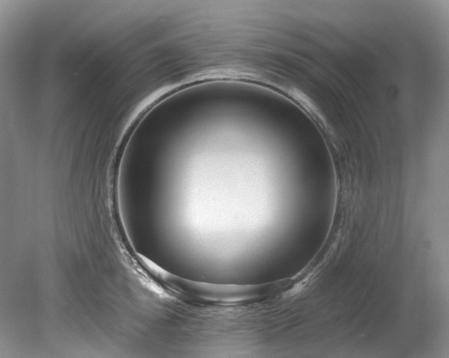 X0000078280854200611101132