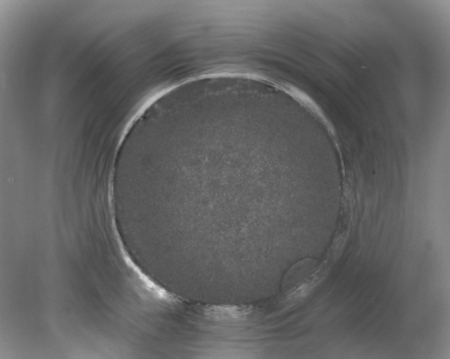 X0000078280855200611101132