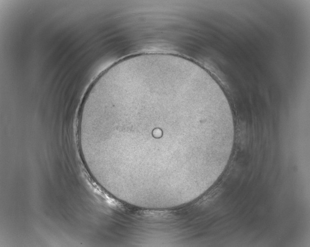 X0000078280856200611101132