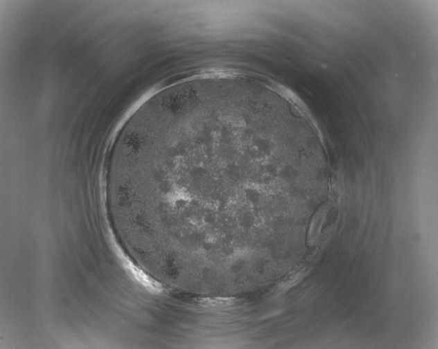 X0000078280859200611101132