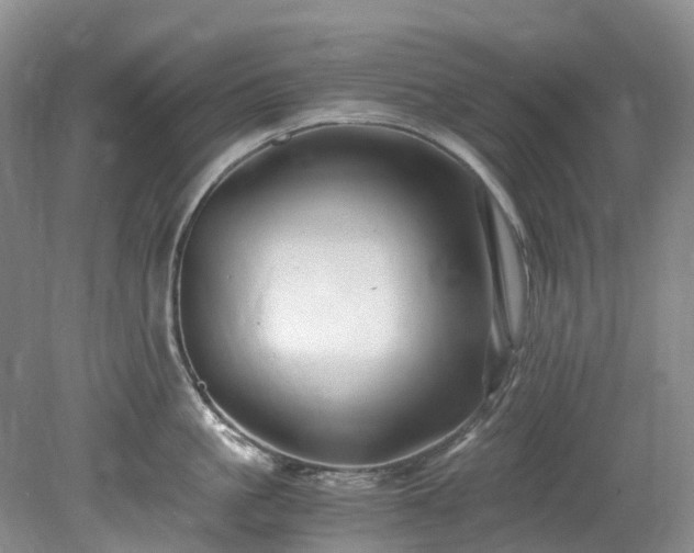 X0000078280861200611101132